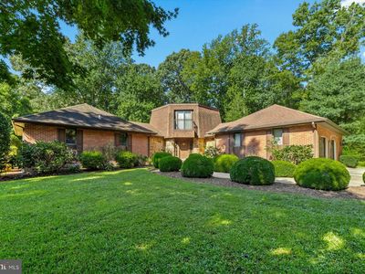 8 Mews Rd