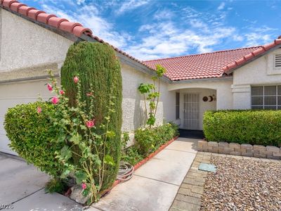 4816 Goldeneye Way