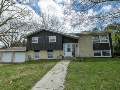 W2131 Playbird ROAD