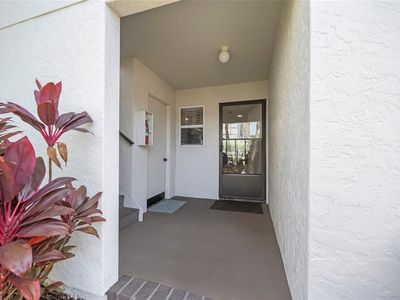5619 Midnight Pass Rd APT 503