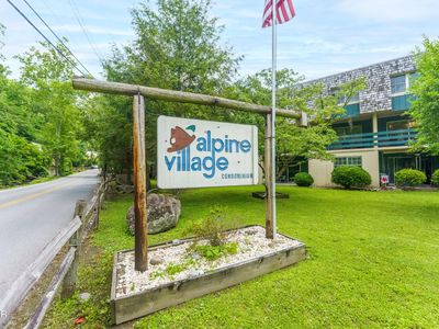 260 Roaring Fork Rd APT 110
