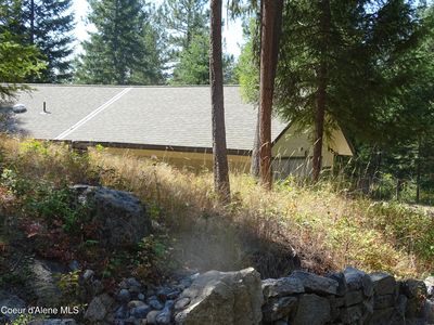 239 Bear Track Ln