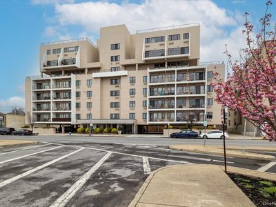 235 W Park Avenue #306