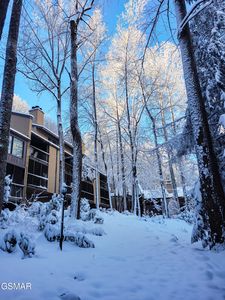 1235 Ski Mountain Rd APT 610