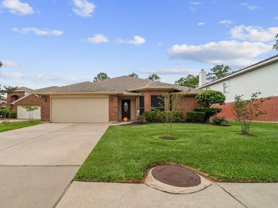 11515 Socorro Ln