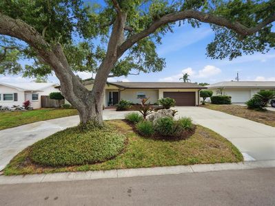 3650 Shady Bluffs Dr