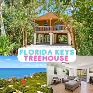 377 Guava Ave