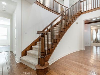 26958 Timberline Ter