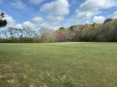 31379 Boggs Rd