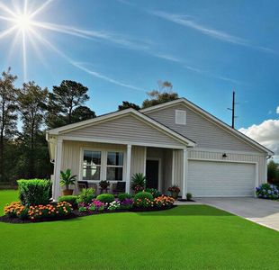 Ibis Plan, Ocean Pointe