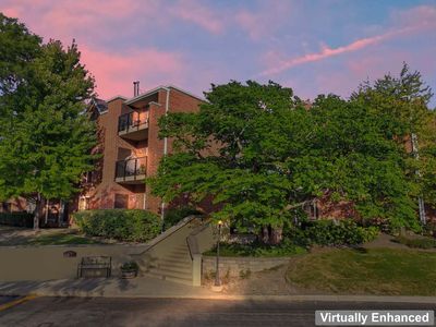 815 Leicester Rd APT 217