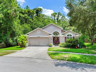 12502 Blazing Star Dr