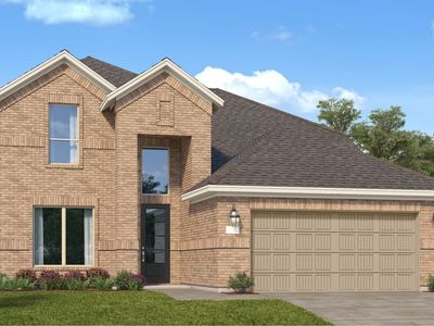 Iris Plan, Coastal Point : Wildflower IV Collection