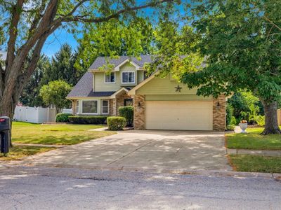 228 Whitetail Xing