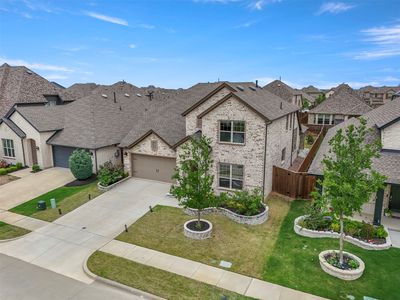 1913 Braided Mane Ave