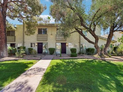 4600 N 68th Street #332