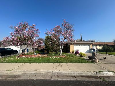 Property at 703 W Holland Ave, Clovis, CA