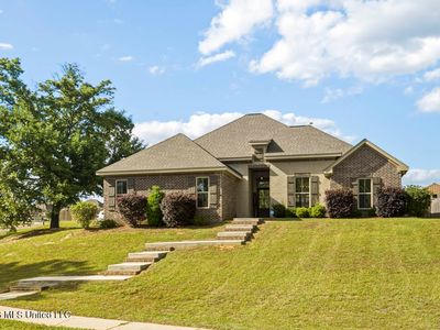 25 Island Oak