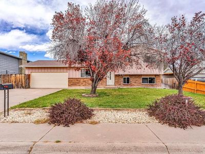 58 Briarwood Cir