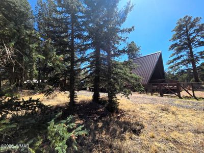 16 County Road 4035 N