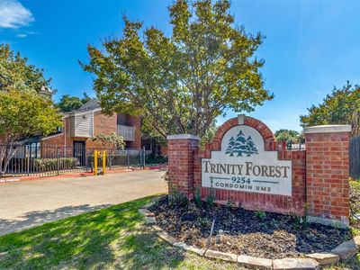 9254 Forest Ln APT 812