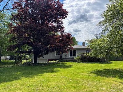 5319 Searsville Road