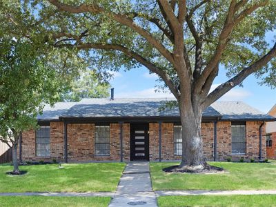 10414 Black Walnut Dr