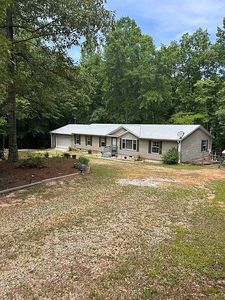 1 Pine Needle Trl