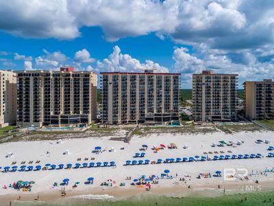 24230 Perdido Beach Blvd APT 3126