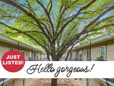 2021 Bluebonnet Ln Unit 104