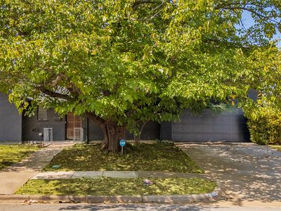 206 Sixpence Ln