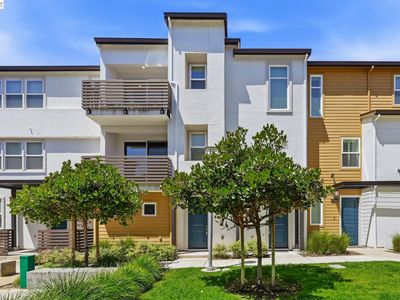 39482 Capstone Cmn