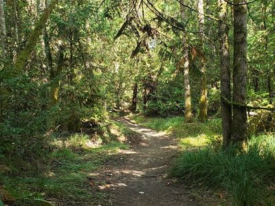 Property at 356 XX 53rd Avenue E, Eatonville, WA