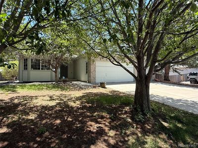4788 Falcon Drive