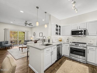 1500 E Pusch Wilderness Dr Unit 17206