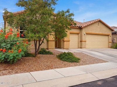 505 N Tree Mist Ln