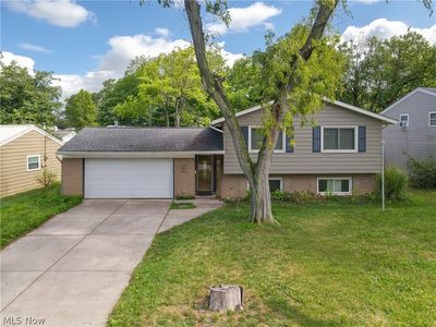 364 Wallace Dr