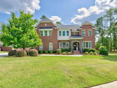 291 Palm Sedge Loop
