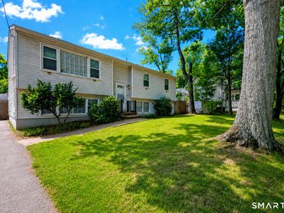 Property at 43 Taylor Avenue, New Haven, CT