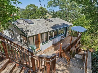 51 Berry Trail