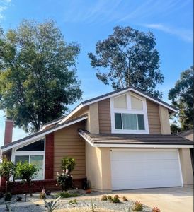 243 Longbranch Cir