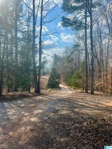 600 Coosa County Road 301