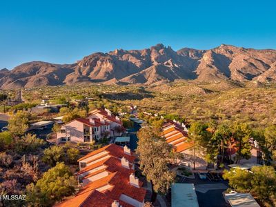 6451 N Tierra De Las Catalinas