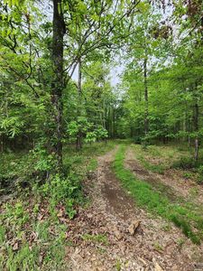 Kinsey Mountain Rd