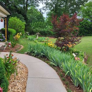 260 Alcovy Cir