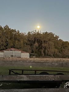 1365 County Road 652