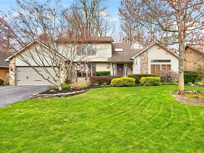 49 Wood Run Cir