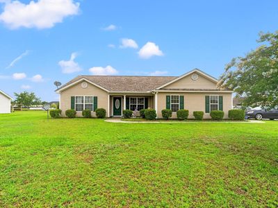 719 American Beech St.