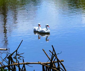 6977 Edgewater Dr #38