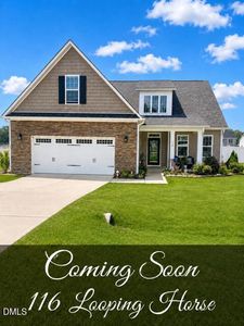 116 Looping Horse Cir